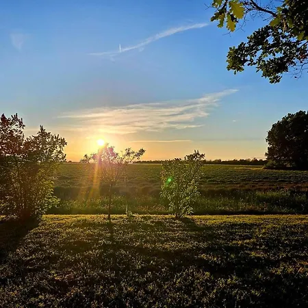Le Bastidon De Dudule