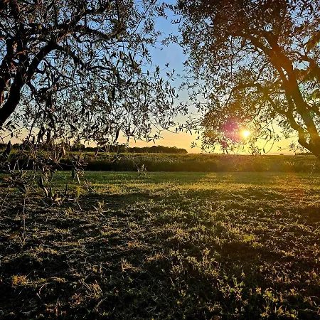 Semesterbostad Le Bastidon De Dudule