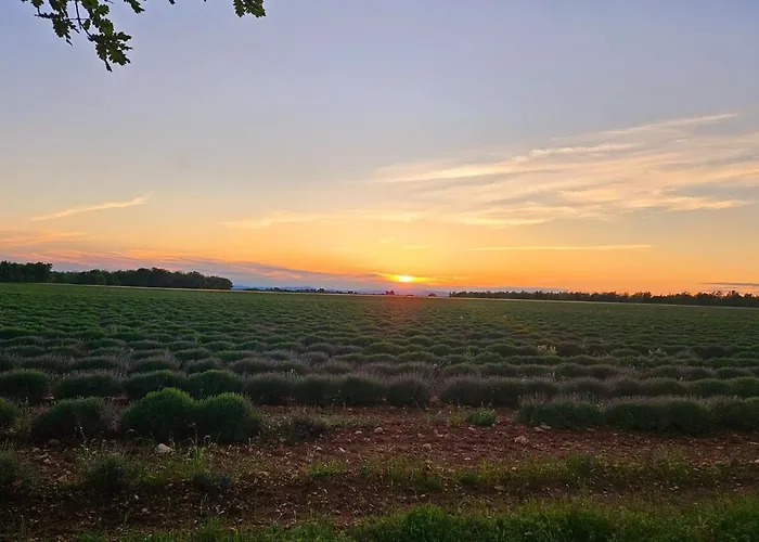 Le Bastidon De Dudule *