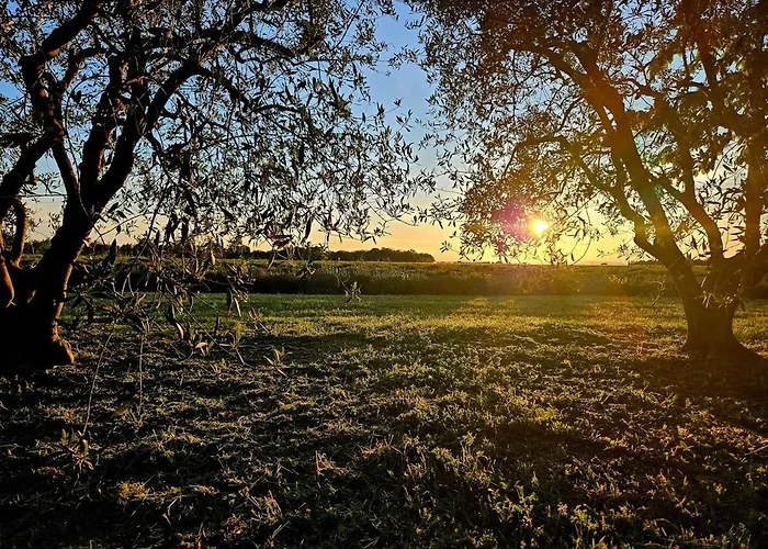 Holiday home Le Bastidon De Dudule